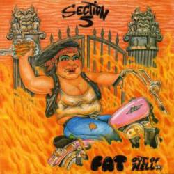 Section 5 : Fat Out of Hell